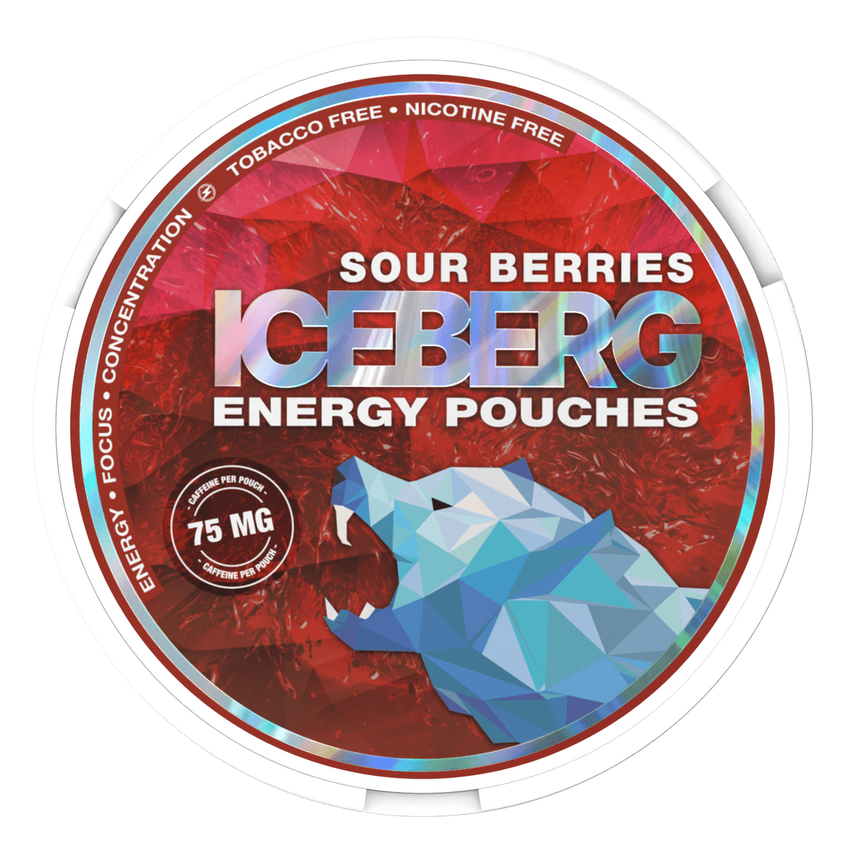 Front Left Speaker - Energy Pouch Bundle
